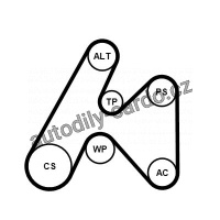 Sada drážkového řemene a vodní pumpy CONTINENTAL CTAM 6PK1660WP1