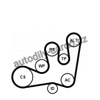 Sada drážkového řemene a vodní pumpy CONTINENTAL CTAM 6PK1642WP1