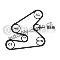 Sada drážkového řemene CONTINENTAL CTAM 6PK1623D1