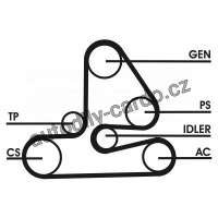 Sada drážkového řemene CONTINENTAL CTAM 6PK1613D1