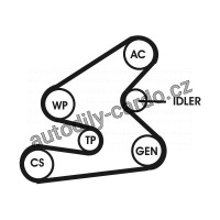 Sada drážkového řemene CONTINENTAL CTAM 6PK1600D1 Sada drážkového řemene CONTINENTAL CTAM 6PK1600D1