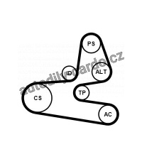Sada drážkového řemene CONTINENTAL CTAM 6PK1564K1