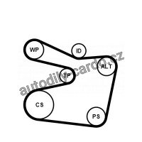 Sada drážkového řemene CONTINENTAL CTAM 6PK1555K2