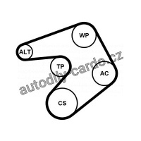Sada drážkového řemene a vodní pumpy CONTINENTAL CTAM 6PK1205WP1