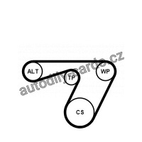 Sada drážkového řemene a vodní pumpy CONTINENTAL CTAM 6PK1180WP1