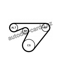 Sada drážkového řemene CONTINENTAL CTAM 6PK1180K3