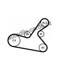 Sada drážkového řemene CONTINENTAL CTAM 6PK1125K1