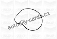 Vodní pumpa GRAF (GR PA1058) - BMW