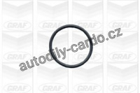 Vodní pumpa GRAF (GR PA390) - BMW