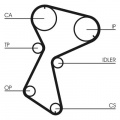 Rozvodový řemen CONTINENTAL CTAM CT604