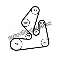 Sada drážkového řemene CONTINENTAL CTAM 7PK1970K1