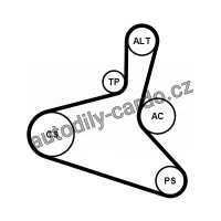 Sada drážkového řemene CONTINENTAL CTAM 6DPK1195K1