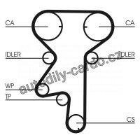 Rozvodový řemen CONTINENTAL CTAM CT975