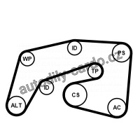 Sada drážkového řemene CONTINENTAL CTAM 7PK2035K1