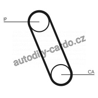 Rozvodový řemen CONTINENTAL CTAM CT561