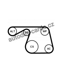 Sada drážkového řemene CONTINENTAL CTAM 6PK1310K1