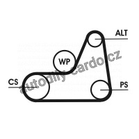 Sada drážkového řemene CONTINENTAL CTAM 6PK1042 ELAST T1