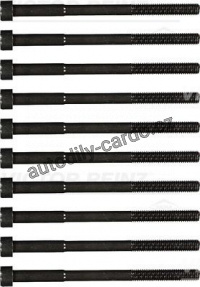 Sada šroubů pro hlavy válcu VICTOR REINZ (VR 14-55035-01)