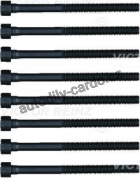 Sada šroubů pro hlavy válcu VICTOR REINZ (VR 14-32366-01)