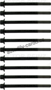 Sada šroubů pro hlavy válcu VICTOR REINZ (VR 14-10172-01)