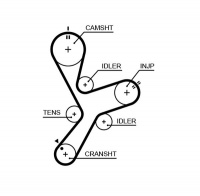 Rozvodový řemen GATES (GT 5641XS)¨- MITSUBISHI