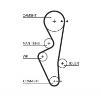 Rozvodový řemen GATES (GT 5430XS) - NISSAN Rozvodový řemen GATES (GT 5430XS) - NISSAN