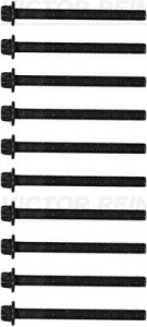 Sada šroubů pro hlavy válcu VICTOR REINZ (VR 14-32231-01)