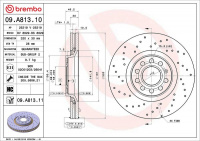 Brzdový kotouč BREMBO 09.A813.10 - AUDI