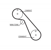 Rozvodový řemen GATES (GT 5209) - FIAT, LANCIA