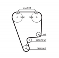 Rozvodový řemen GATES (GT 5211) - HONDA