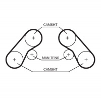 Rozvodový řemen GATES (GT 5576XS) - KIA