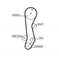 Rozvodový řemen GATES (GT 5389XS) - TOYOTA
