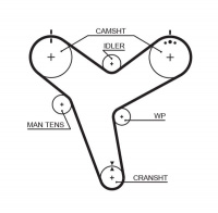 Rozvodový řemen GATES (GT 5380XS) - TOYOTA
