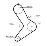 Rozvodový řemen GATES (GT 5334XS) - CITROËN, FIAT, IVECO, PEUGEOT