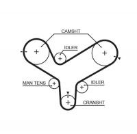 Rozvodový řemen GATES (GT 5342XS) - MAZDA
