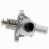 Termostat, chladivo VEMO 40-99-0031