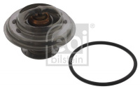 Termostat, chladivo FEBI (FB 01598) - BMW