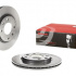 Brzdový kotouč BREMBO 09.5196.11