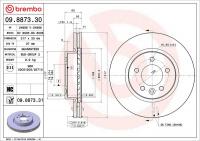 Brzdový kotouč BREMBO 09.8873.31 Brzdový kotouč BREMBO 09.8873.31