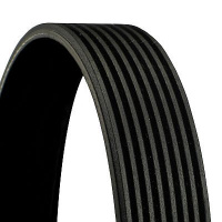 Drážkový řemen CONTINENTAL CTAM 8PK2465 Drážkový řemen CONTINENTAL CTAM 8PK2465