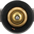 Termostat GATES (GT TH63879G1)