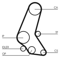 Sada rozvodového řemene CONTINENTAL CTAM CT748K6
