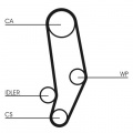 Sada rozvodového řemene s vodní pumpou CONTINENTAL CTAM CT704WP1