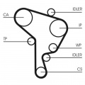 Sada rozvodového řemene s vodní pumpou CONTINENTAL CTAM CT1044WP3