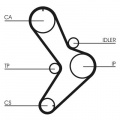 Rozvodový řemen CONTINENTAL CTAM CT731