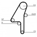 Rozvodový řemen CONTINENTAL CTAM CT1010