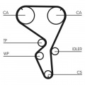 Rozvodový řemen CONTINENTAL CTAM CT1101