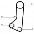 Rozvodový řemen CONTINENTAL CTAM CT836