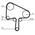 Rozvodový řemen CONTINENTAL CTAM CT1145