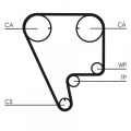 Rozvodový řemen CONTINENTAL CTAM CT794